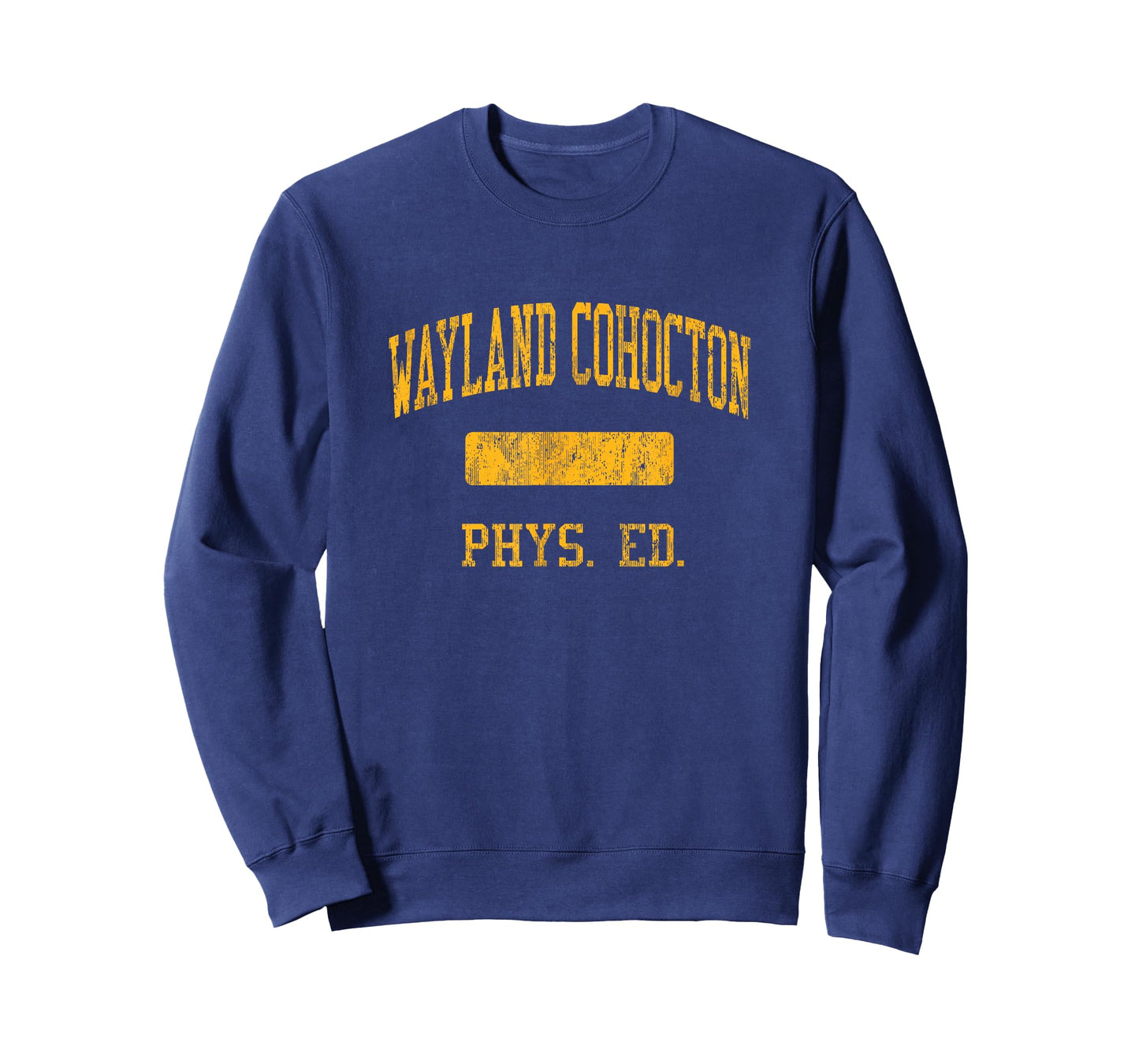 Wayland Cohocton High School HS Wayland NY PHYS Ed T-Shirt