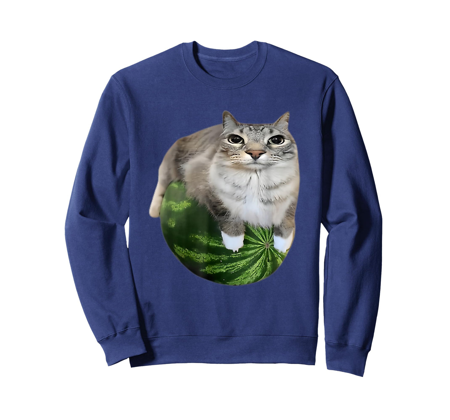 Funny Watermelon Cat Silly Meme T-Shirt