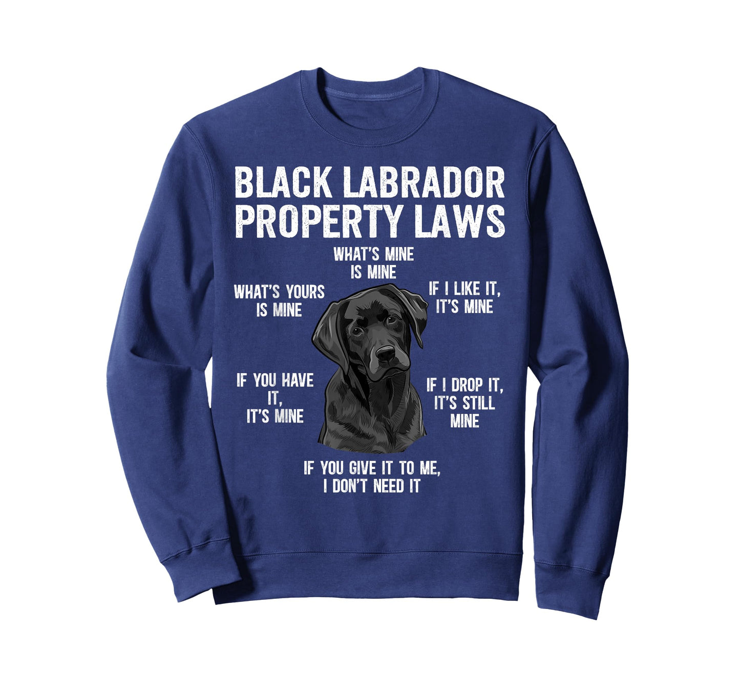 Funny Black Labrador Owner Black Lab Lover T-Shirt