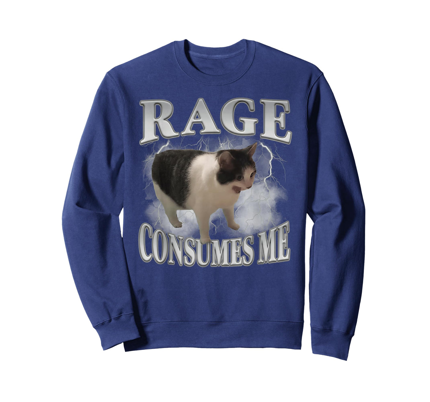 Rage Consumes Me Funny Cat Meme Men Women Novelty T-Shirt