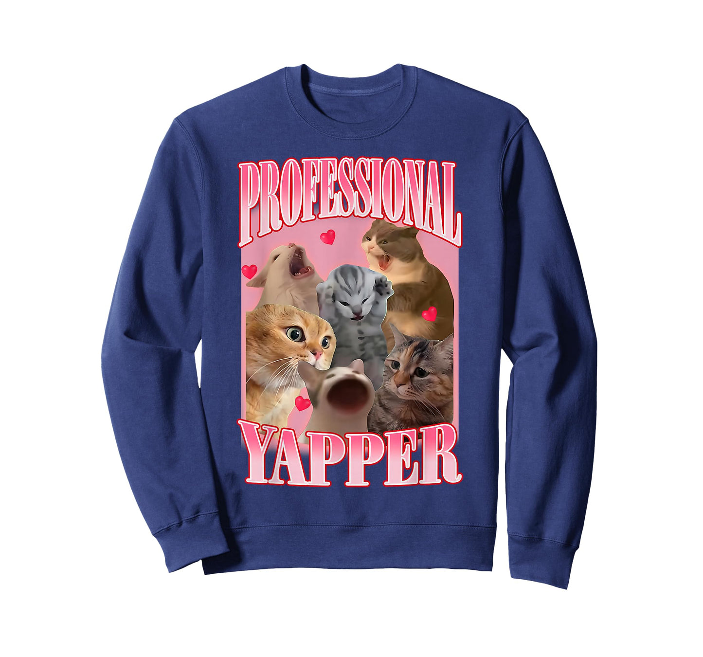 Professional Yapper Cat Funny Oddly Specific Dank Meme T-Shirt