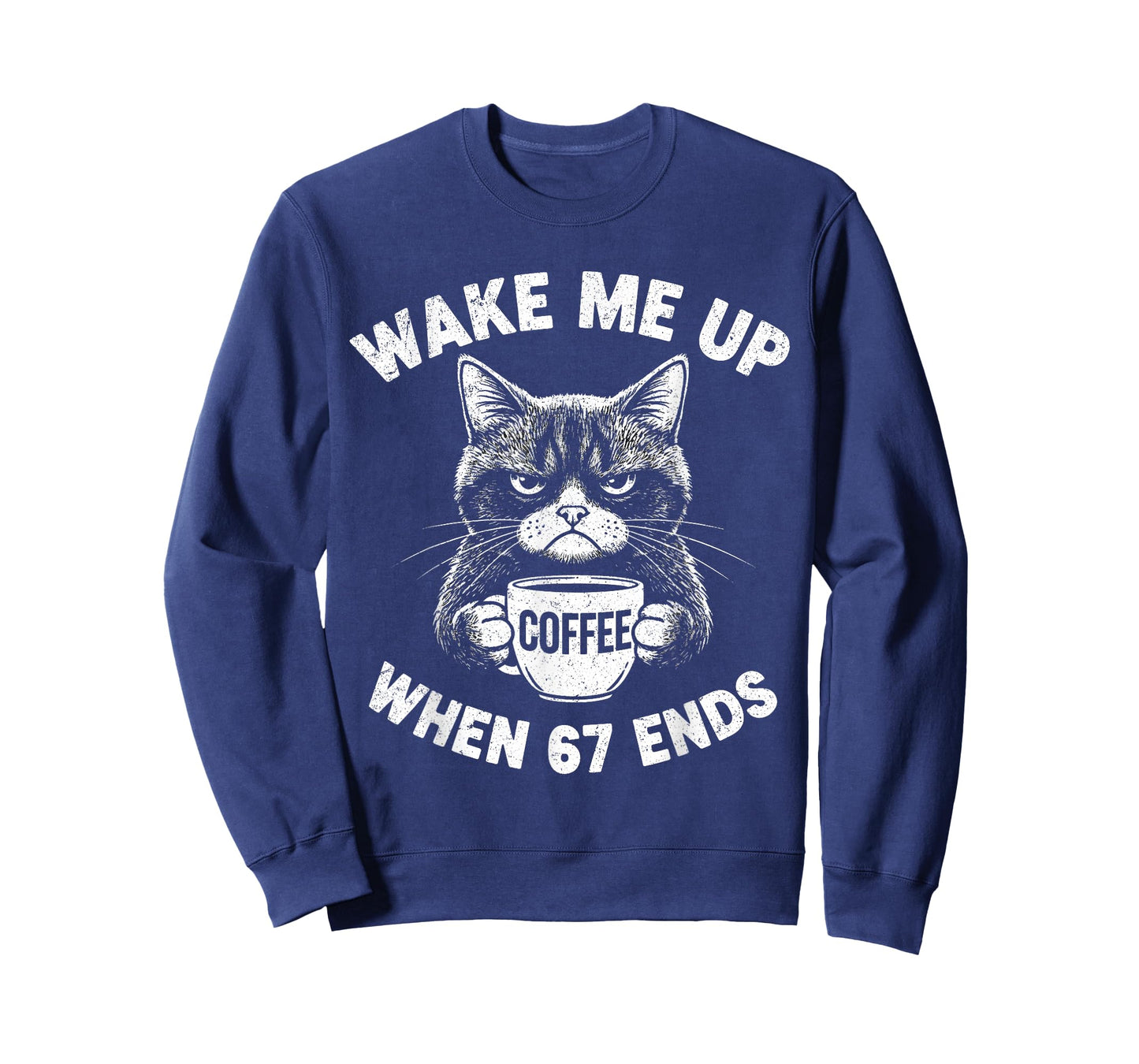 Wake Me 67 Ends Anti Six Seven Cat Brainrot Teacher T-Shirt