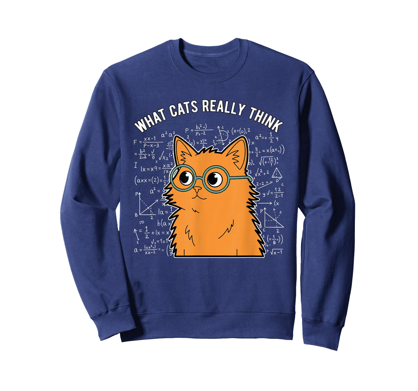 What Cats Really Think Funny Nerdy Math Cat Equations T-Shirt