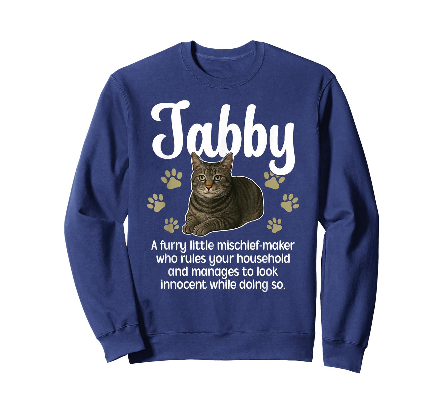 Funny Gray Tabby Cat Owner Grey Tabby Cat Lover T-Shirt