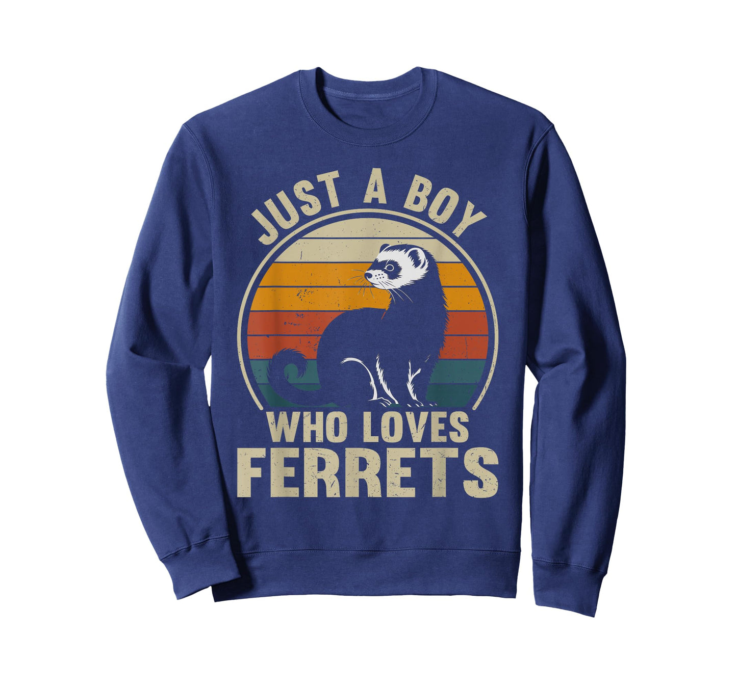 Just A Boy Who Loves Ferrets Recto Ferret Lover T-Shirt