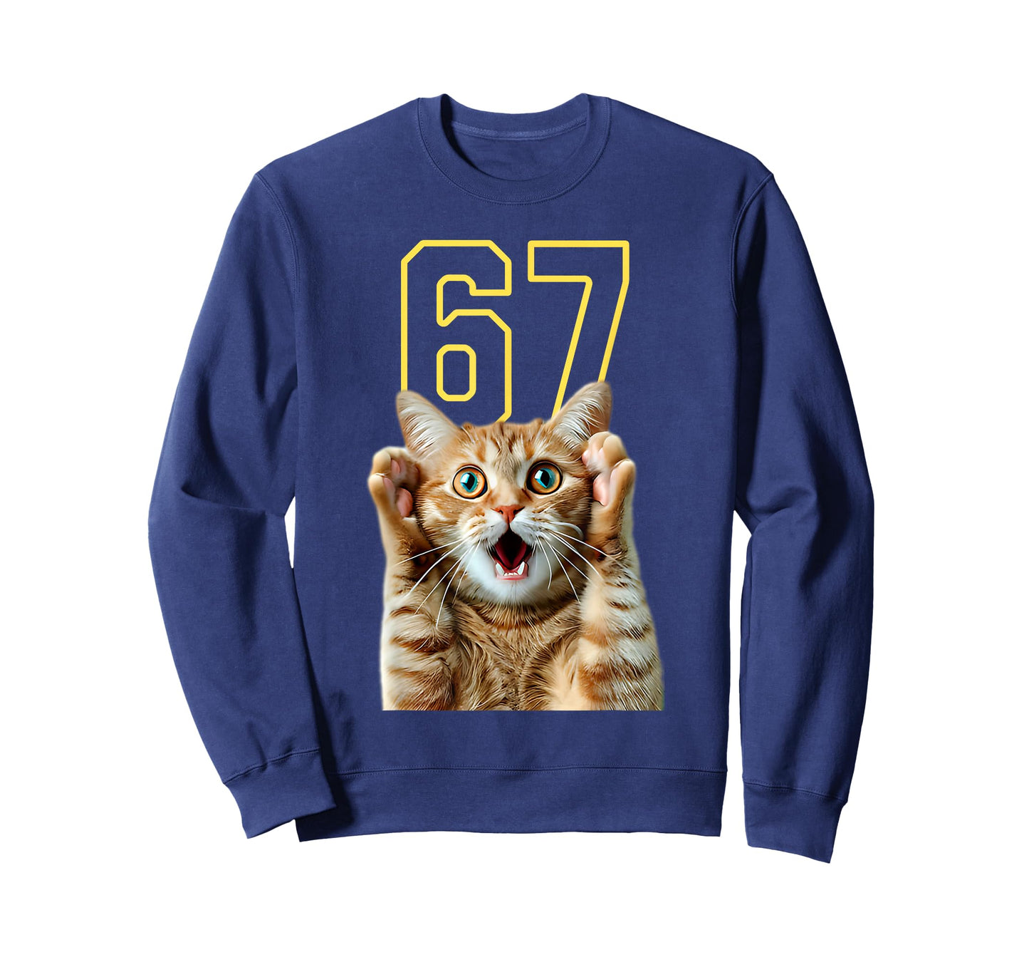 67 Cat Six Seven Funny Meme 6 7 T-Shirt