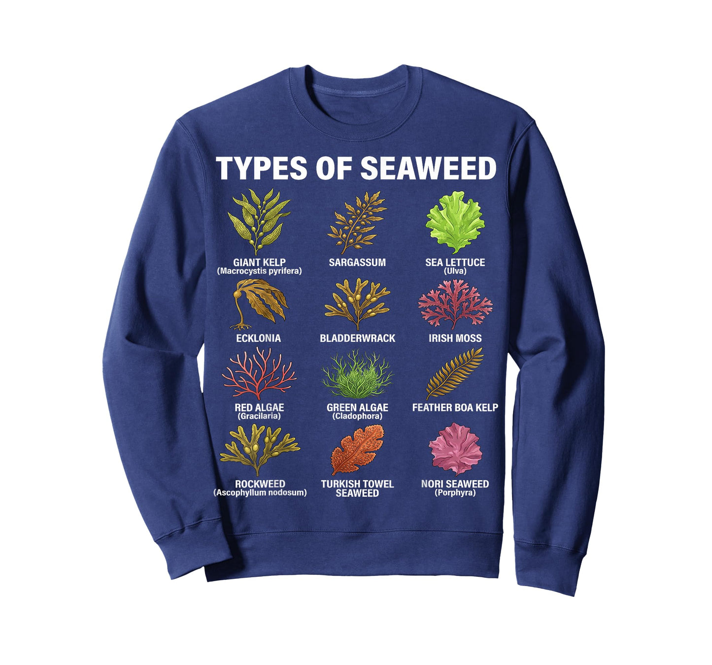 Types of Seaweed, Seaweed Species Chart, Marine Algae Types T-Shirt