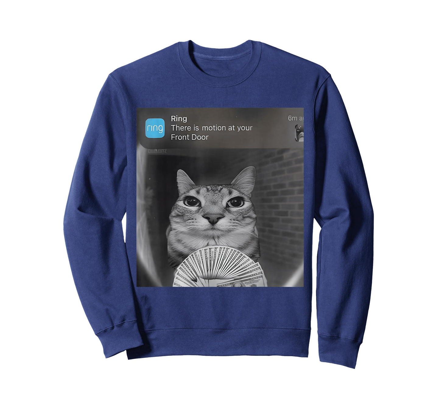 Ring Cat with Motion Funny Parody Cat Meme Silly Stupid Meme T-Shirt