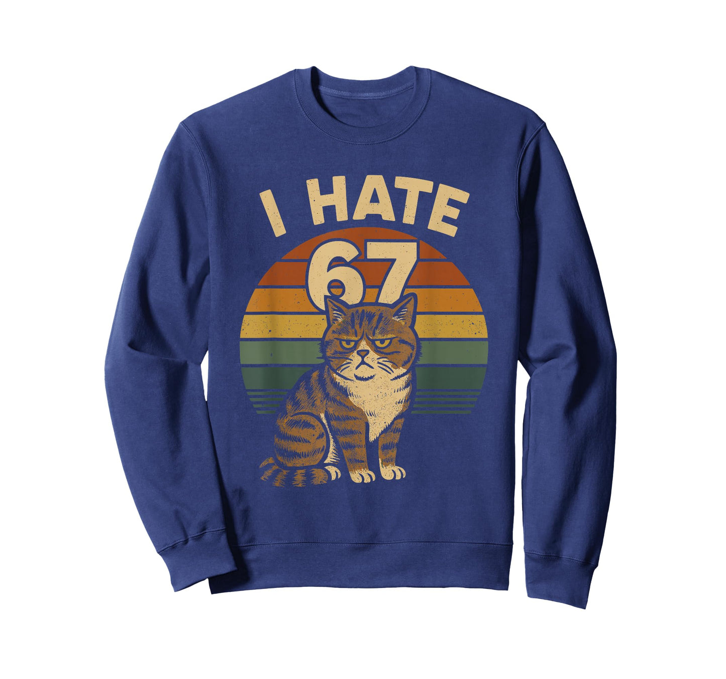 I Hate 67 Meme Cat Funny Internet Trend Humor Brainrot Youth T-Shirt
