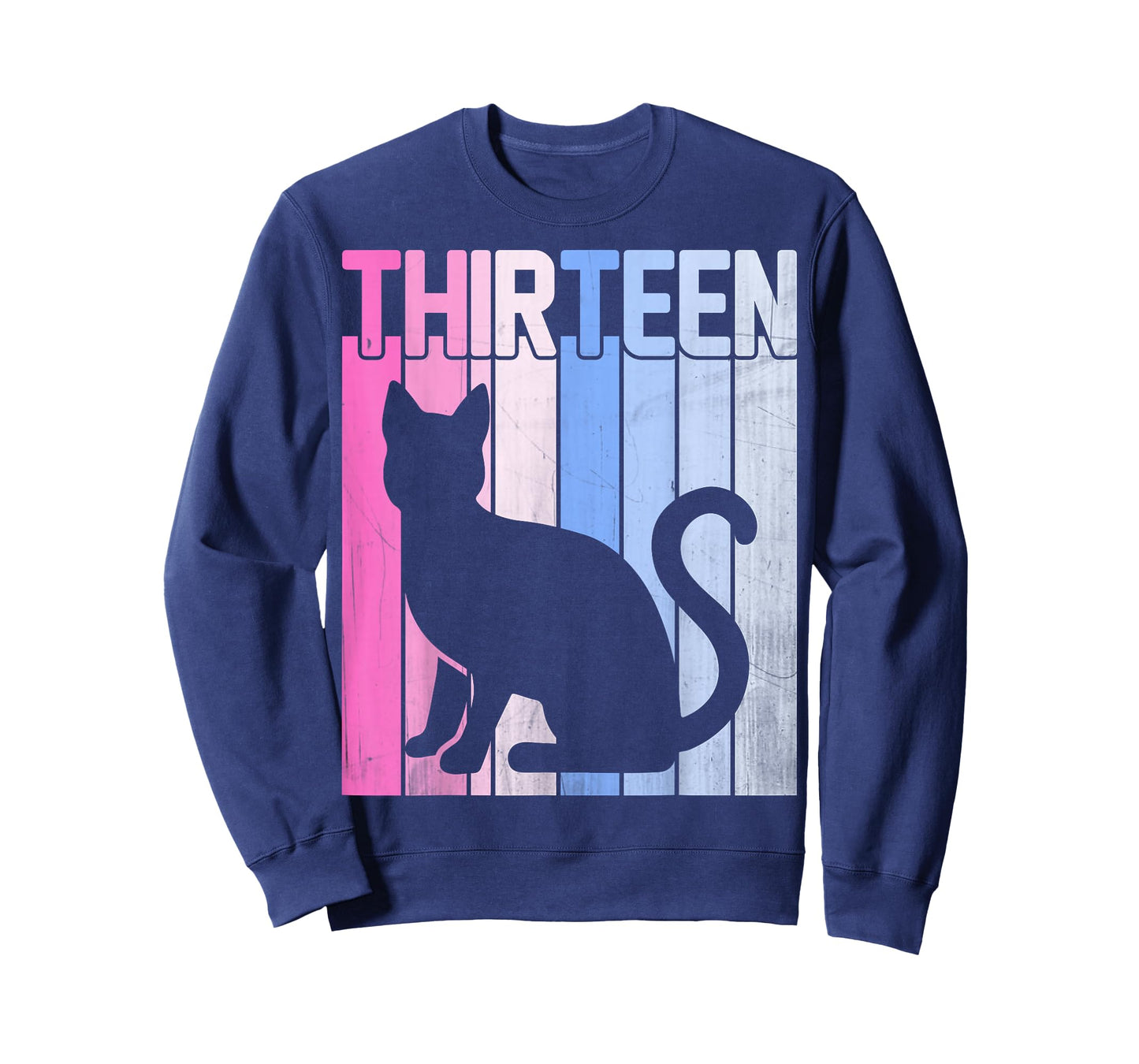 Cute Pet Cat Lover 13 Years Old Thirteen Birthday T-Shirt