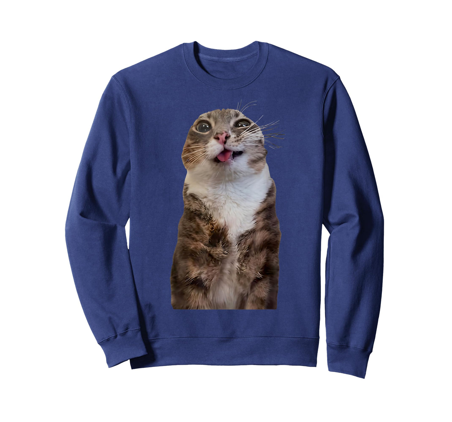 Funny Rigby Cat Silly Viral Meme T-Shirt