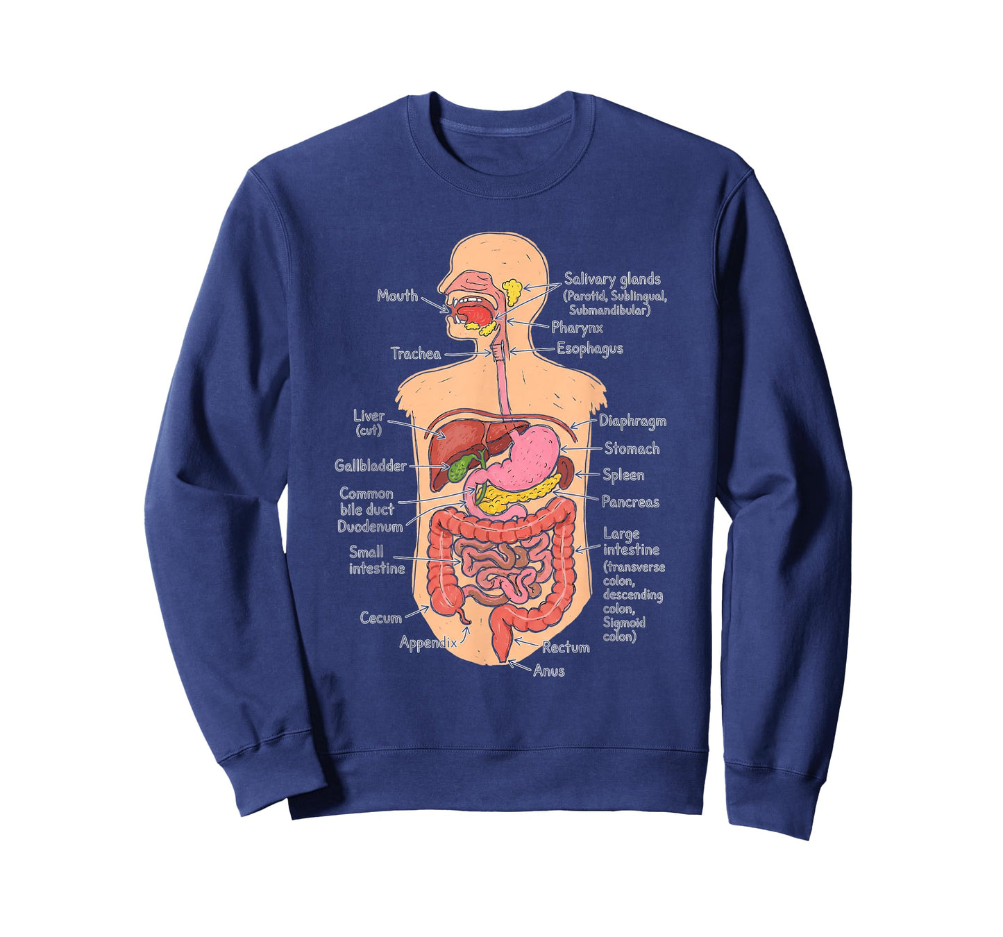 Human Digestive System Anatomy Chart Biology Diagram T-Shirt