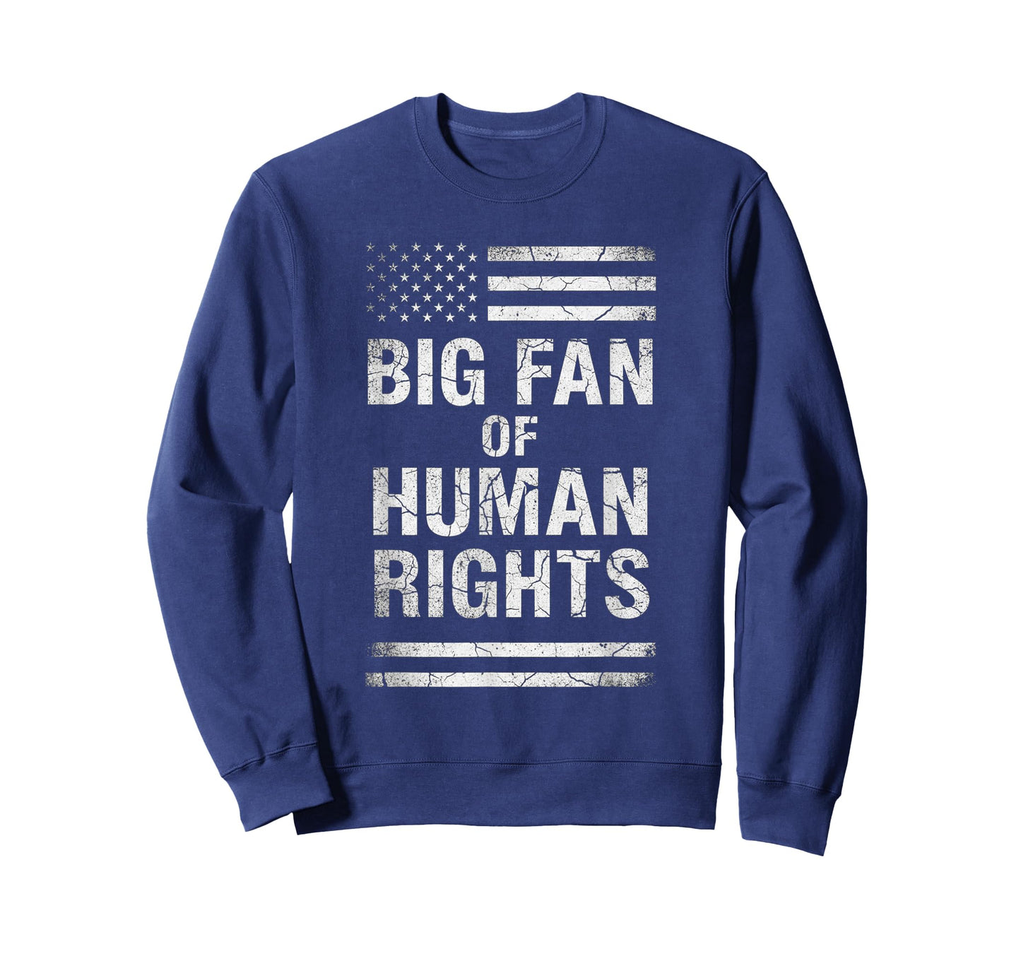 Big Fan of Human Rights Distressed American Flag Activist T-Shirt