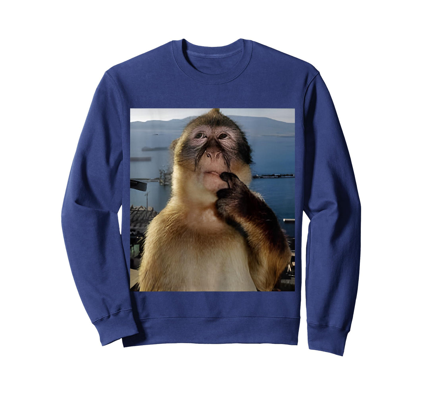 Funny Thinking Monkey Meme T-Shirt Curious Ape Brainrot Gift T-Shirt