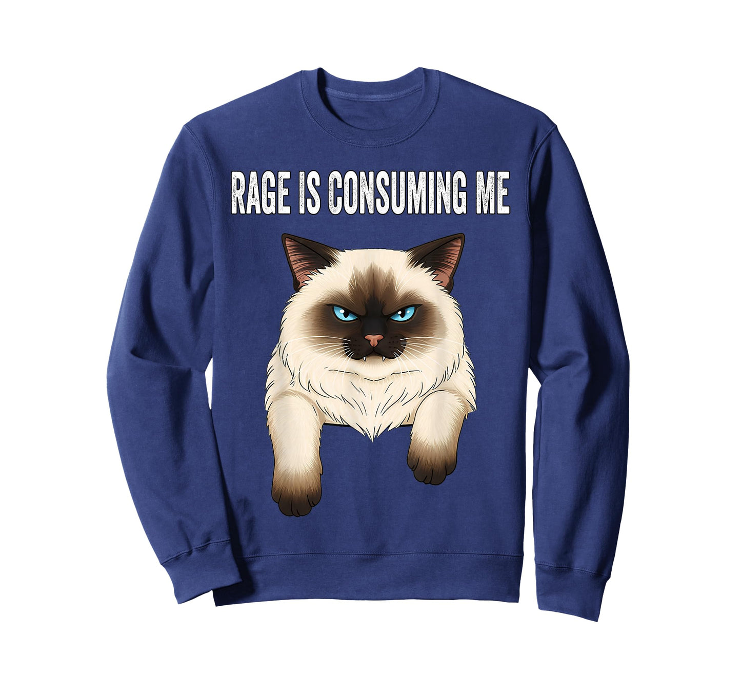 Silly Cat Rage is Consuming Me Silly Cats Funny Cat Meme T-Shirt