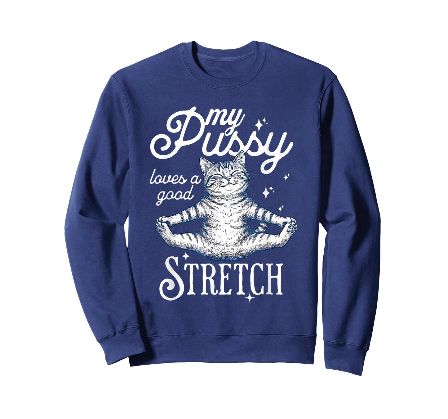 My Pussy Loves A Good Stretch Inappropriate Adult Joke Cat T-Shirt