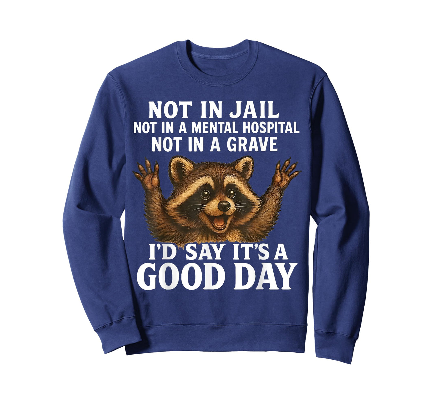 Raccoon Not in Jail Not in A Mental Hospital Funny Saying T-Shirt