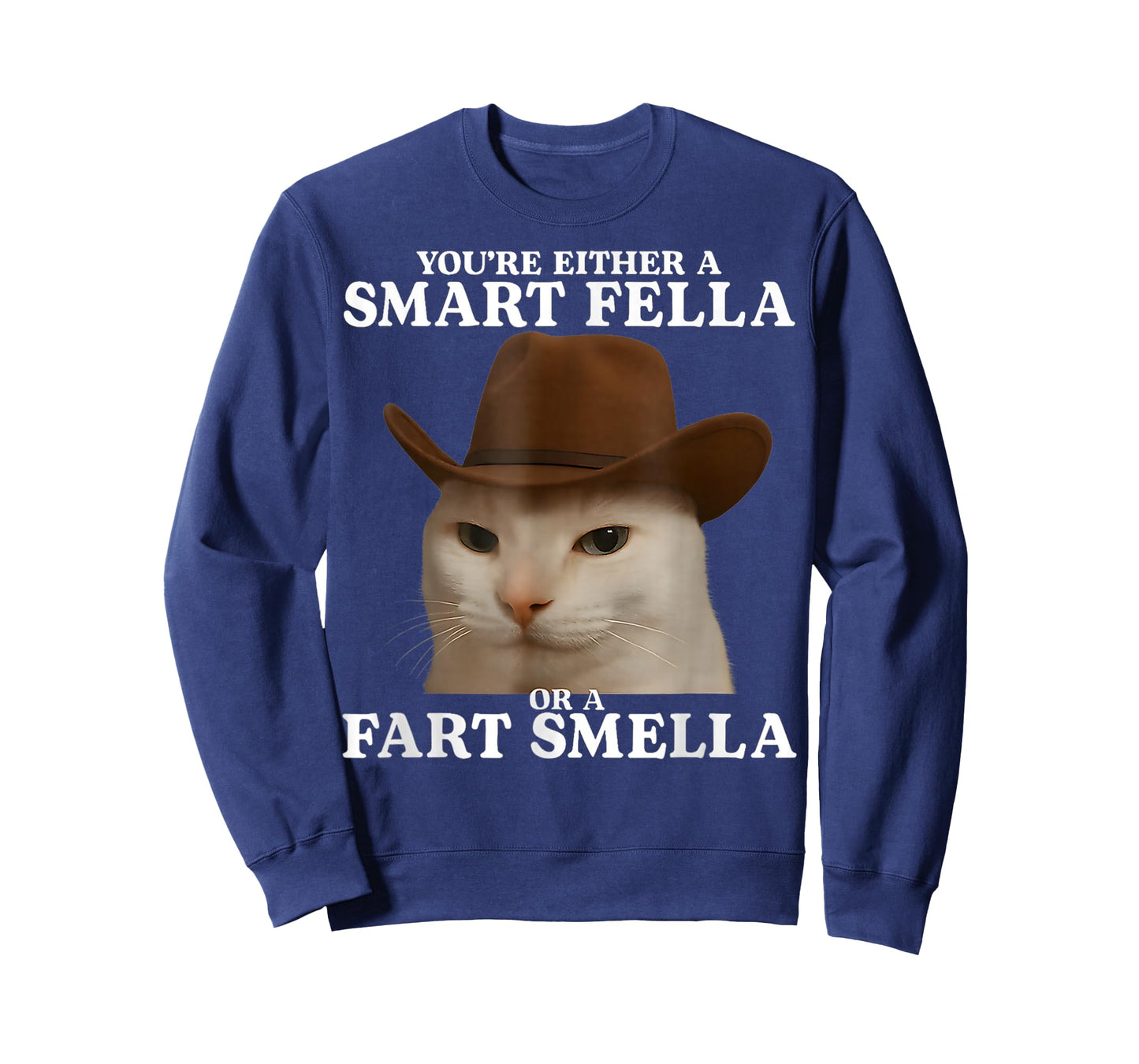 You're Either a Smart Fella or a Fart Smella Funny Cat Meme T-Shirt
