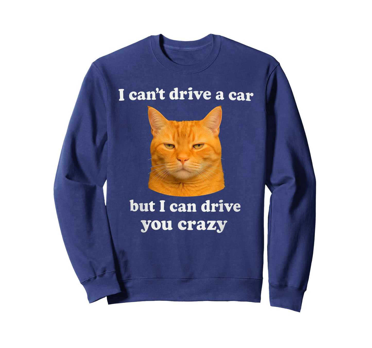 Funny cat Meme for boy Men Women Girl and Kids T-Shirt