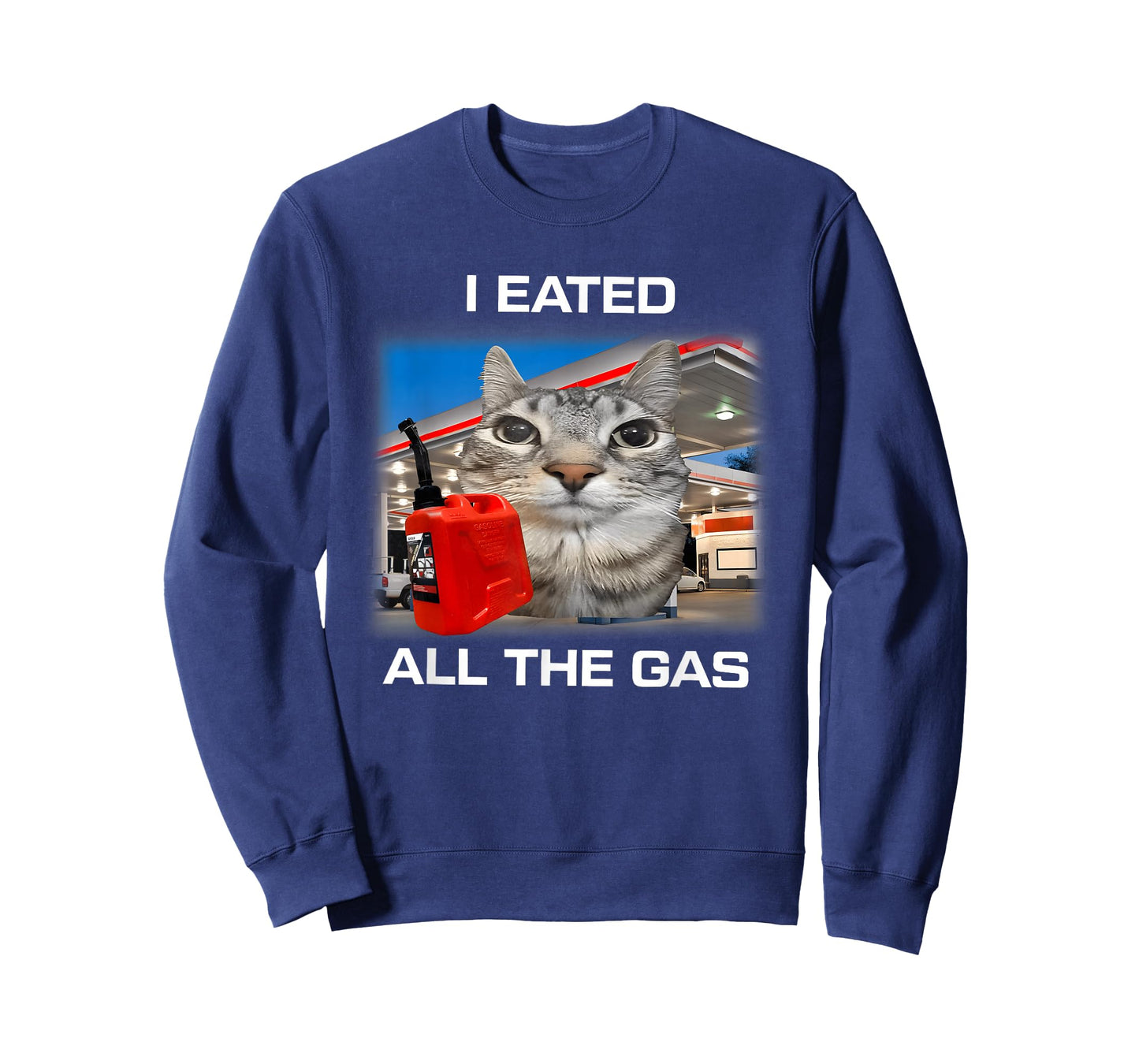 I Eated All The Gas Cat Meme Gen Z Humor Y2k Kitten Meme T-Shirt