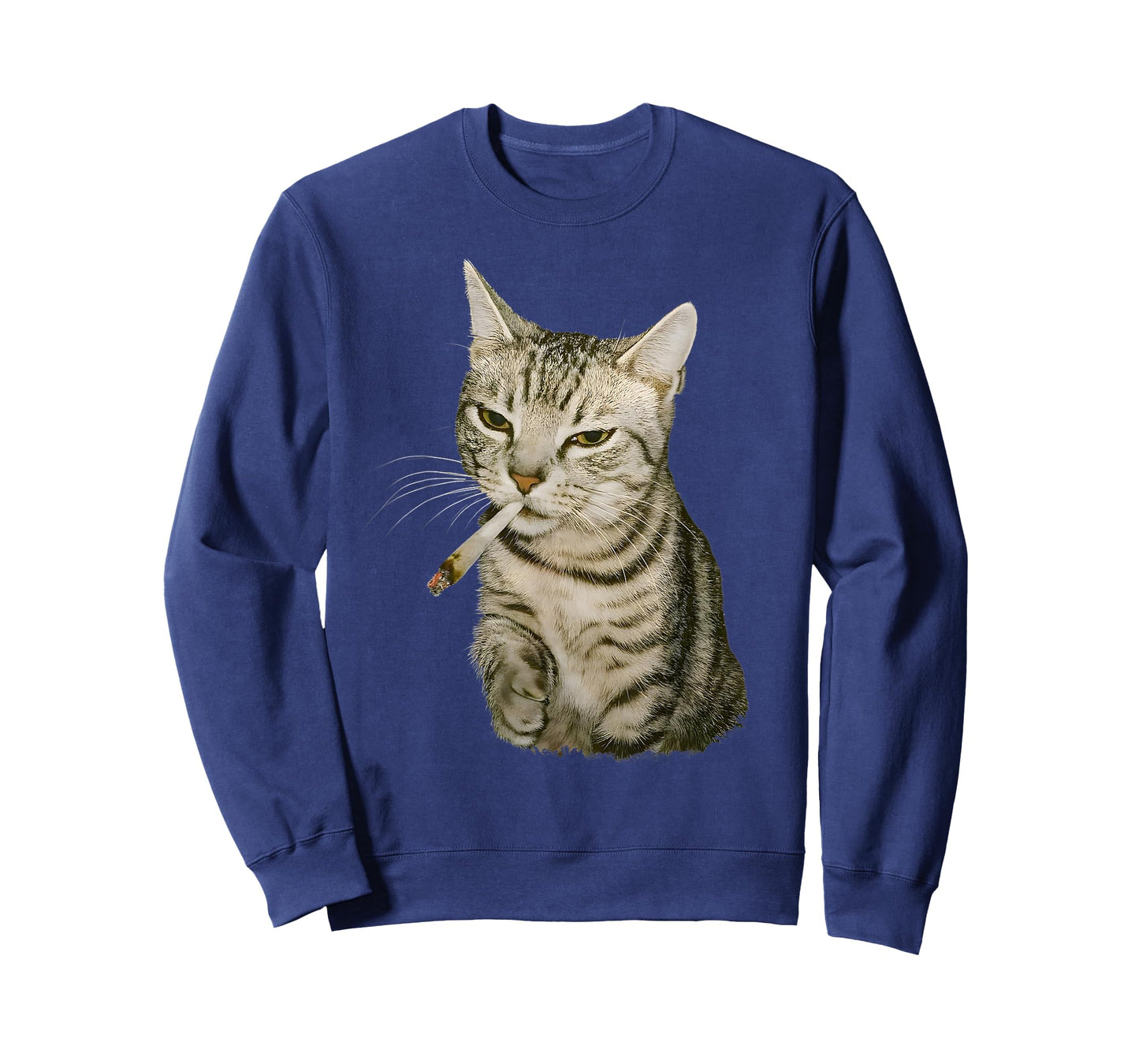 Funny Smoking Cat, Cigarette Kitty Gen Z Meme, Cat Lover T-Shirt