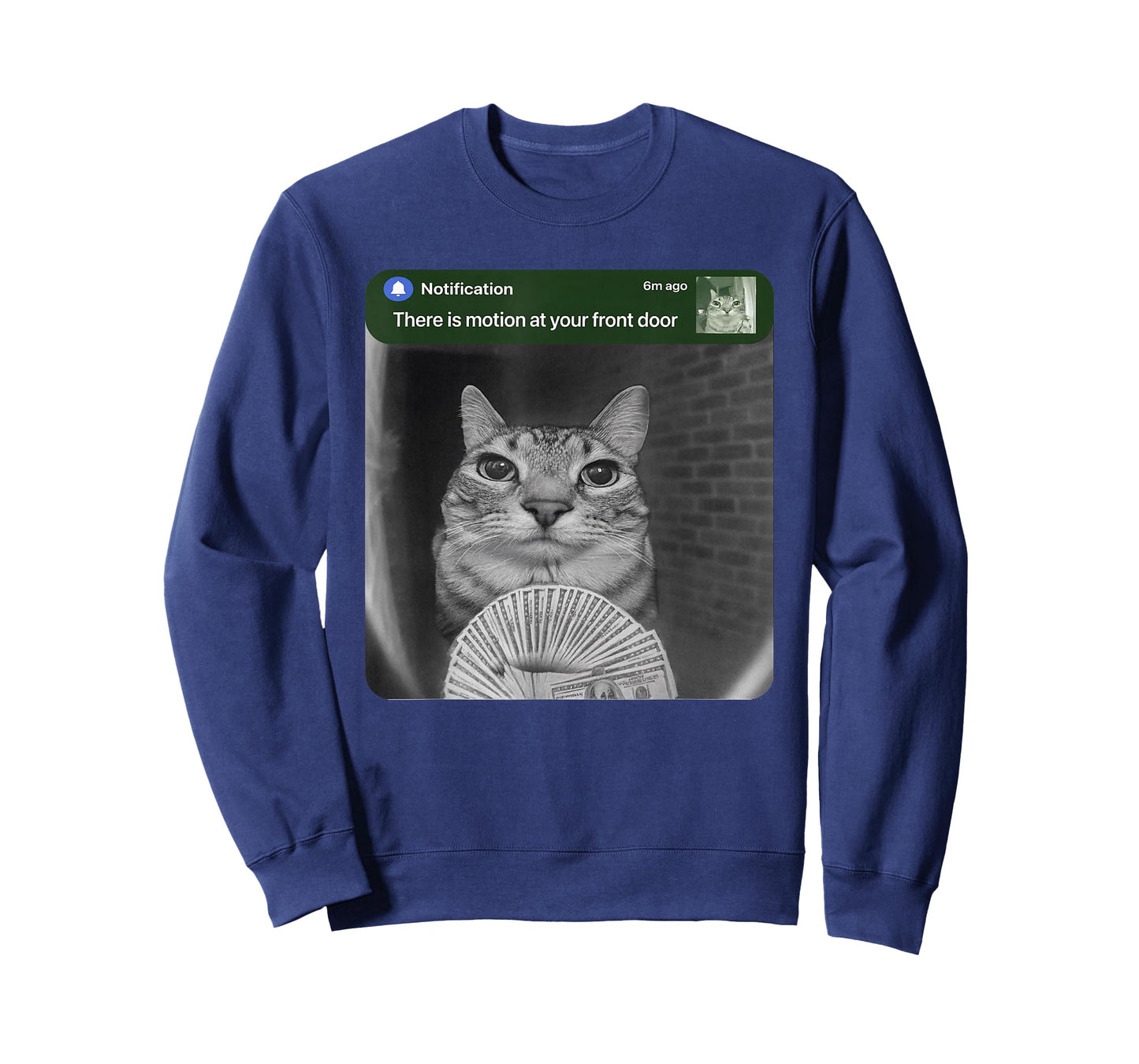 Ring Cat with Motion Meme T-Shirt