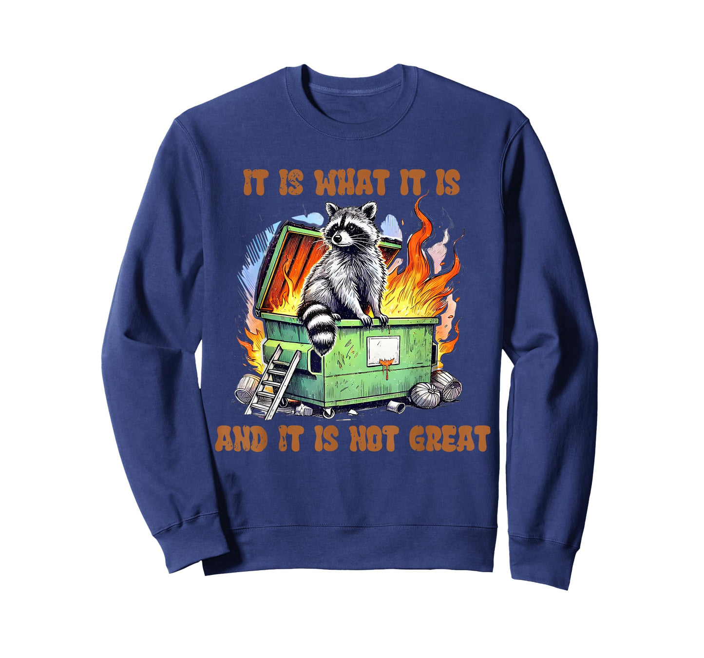 It is What Not Great Raccoon Mental Health Lil Dumpster Meme T-Shirt