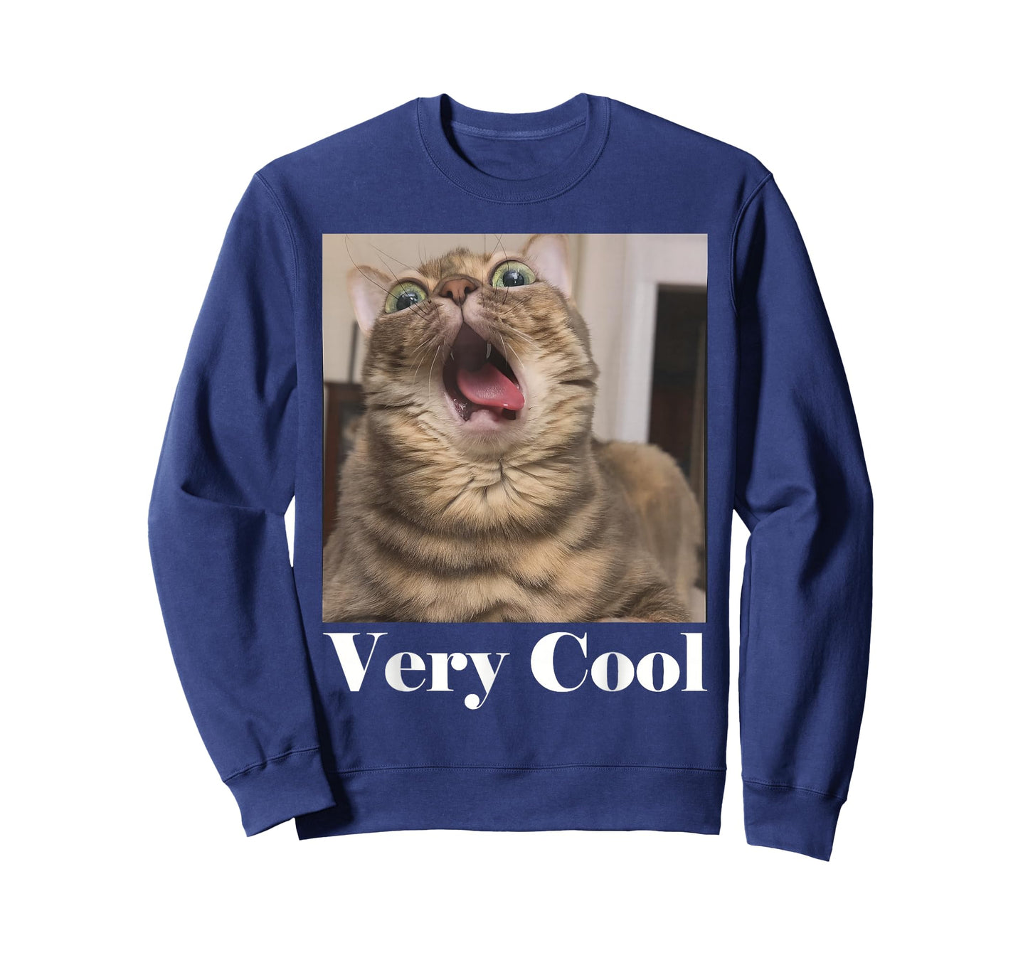 Cats Meme Graphic Silly Cat Humor Funny Cat Very Cool T-Shirt