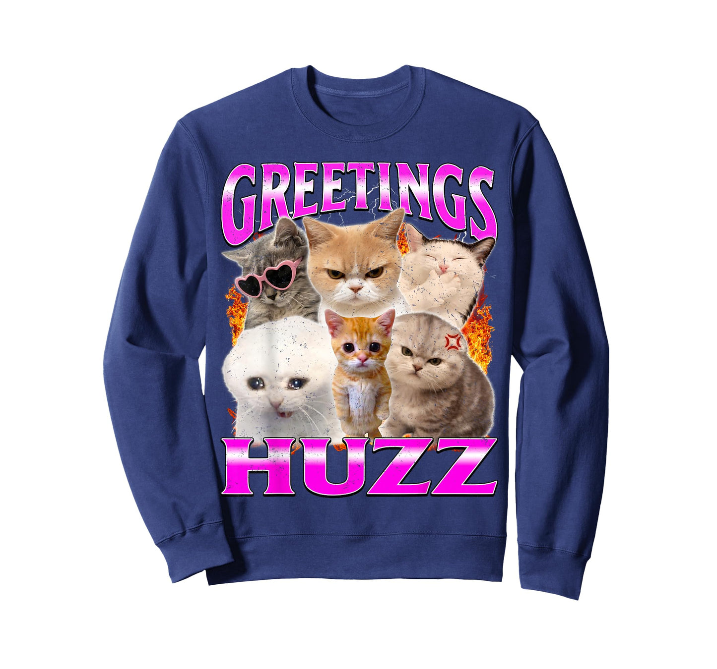 Greetings Huzz Funny Silly Cats Meme T-Shirt