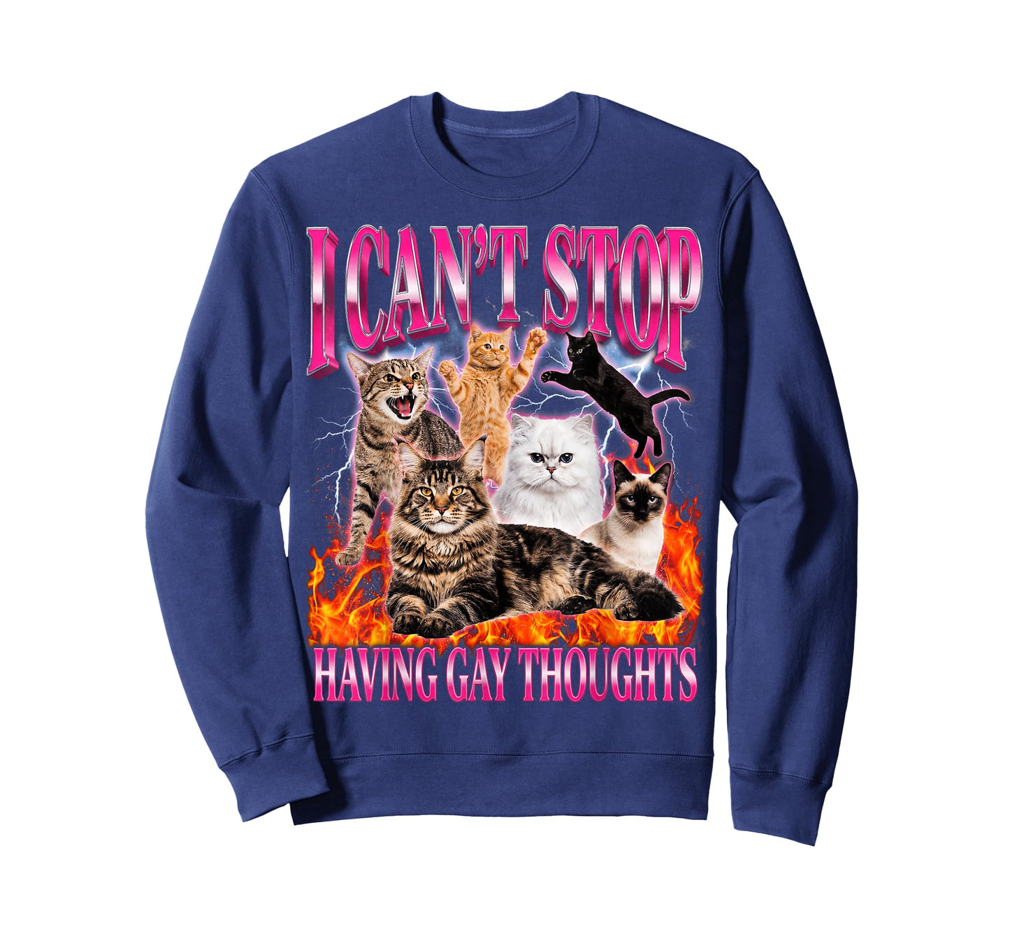 Funny Cat I Can't Stop Having Gay Thoughts LGBTQ Pride T-Shirt