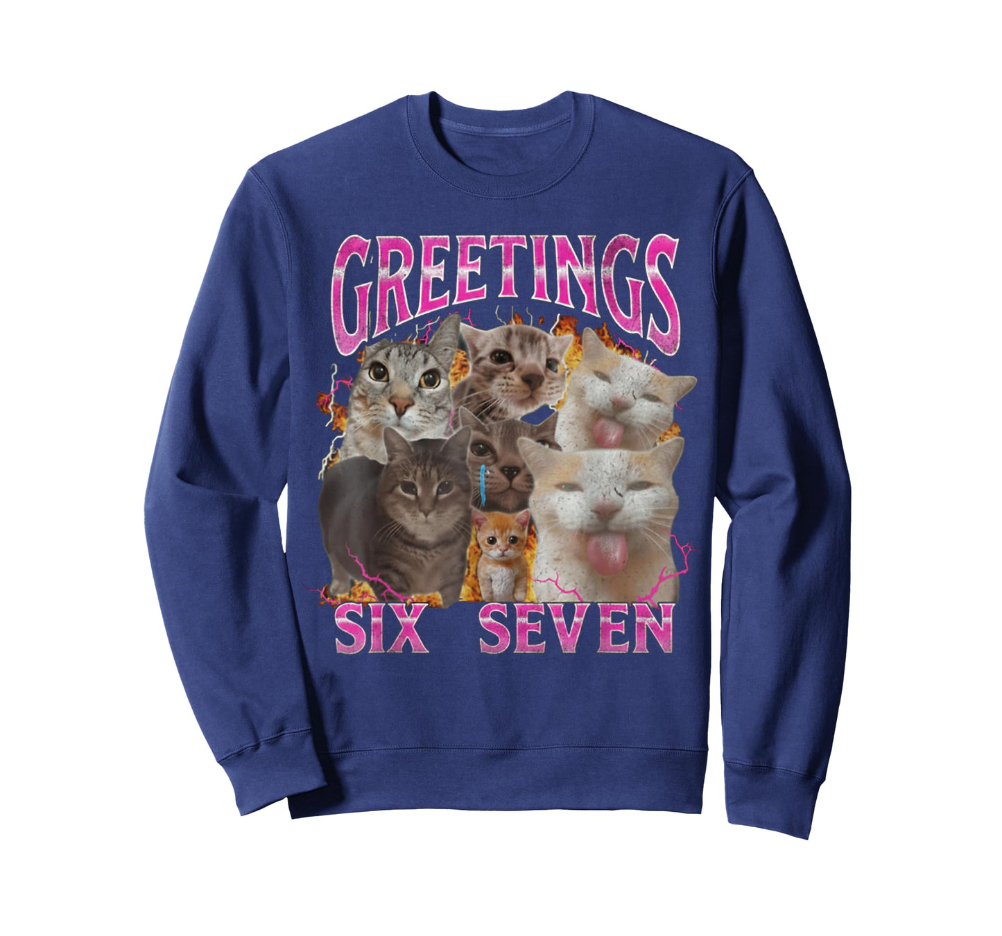 Greetings 67 Funny Cat Meme Funny Six Seven Meme T-Shirt