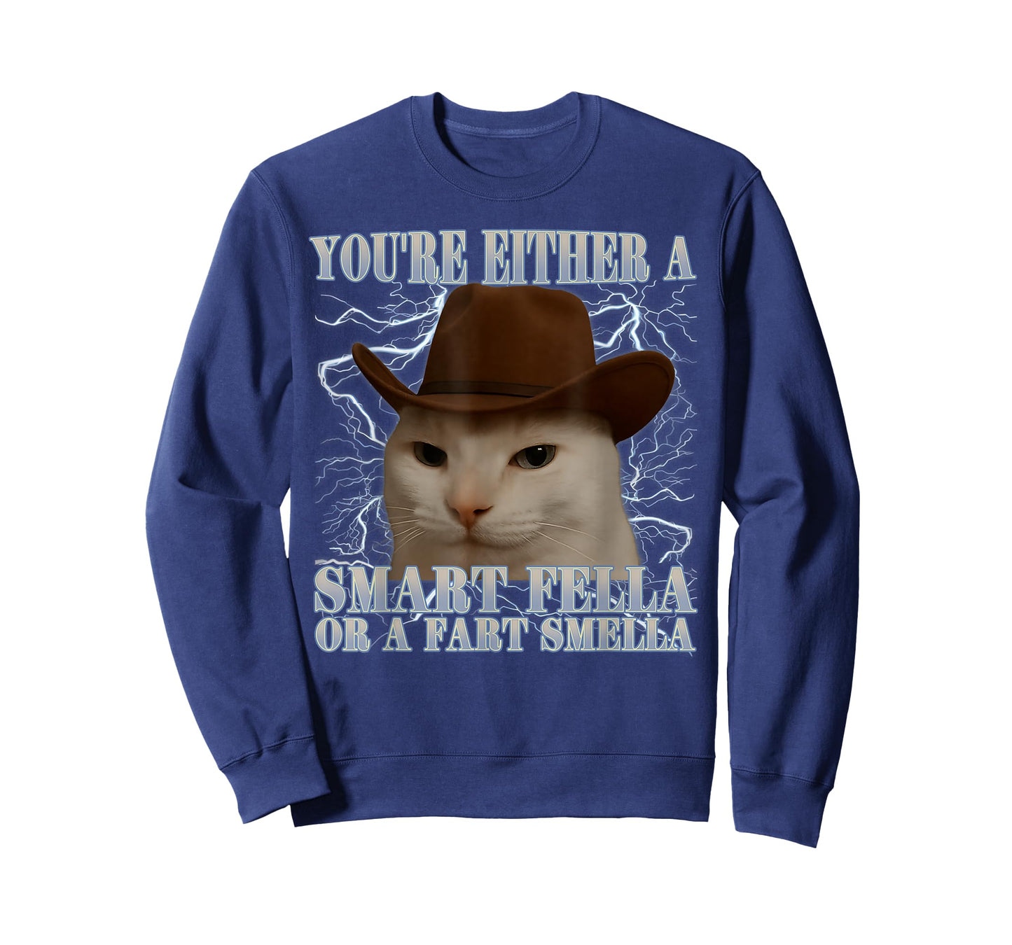 You're Either a Smart Fella or a Fart Smella Funny Cat Meme T-Shirt