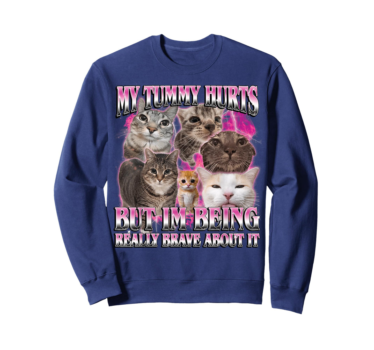 My Tummy Hurts Funny Brainrot Stupid Dank Cat Meme Graphic T-Shirt