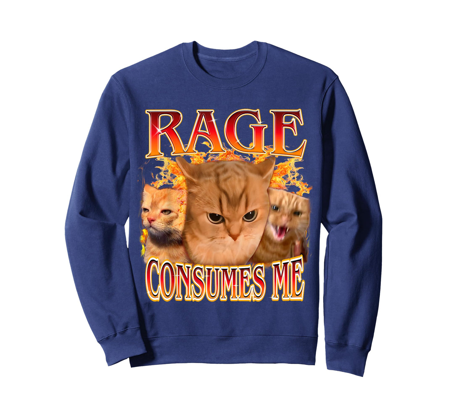 Funny Rage Consumes Me Silly Staring Cat Meme Women Men T-Shirt