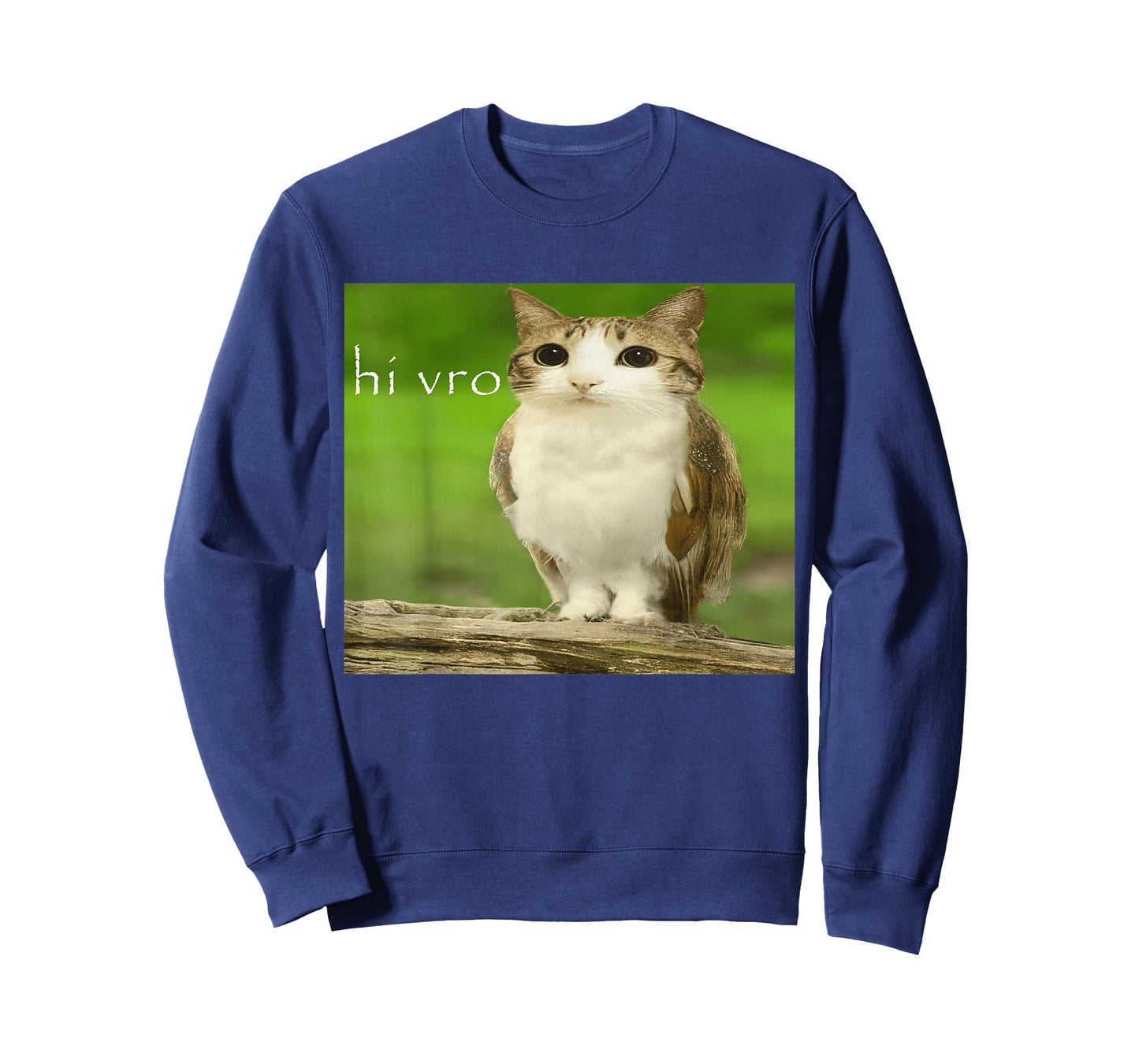 Cat Owl Funny Cursed Hello bro Brainrot Meowl hi vro Meme T-Shirt