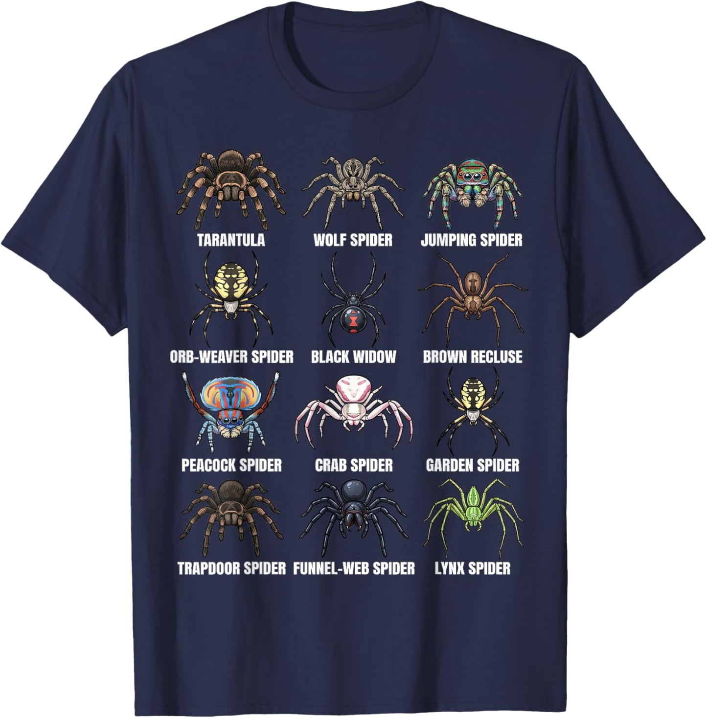 Types of Spiders Scientific Species Chart Entomology Science T-Shirt - T-Shirt | Navy