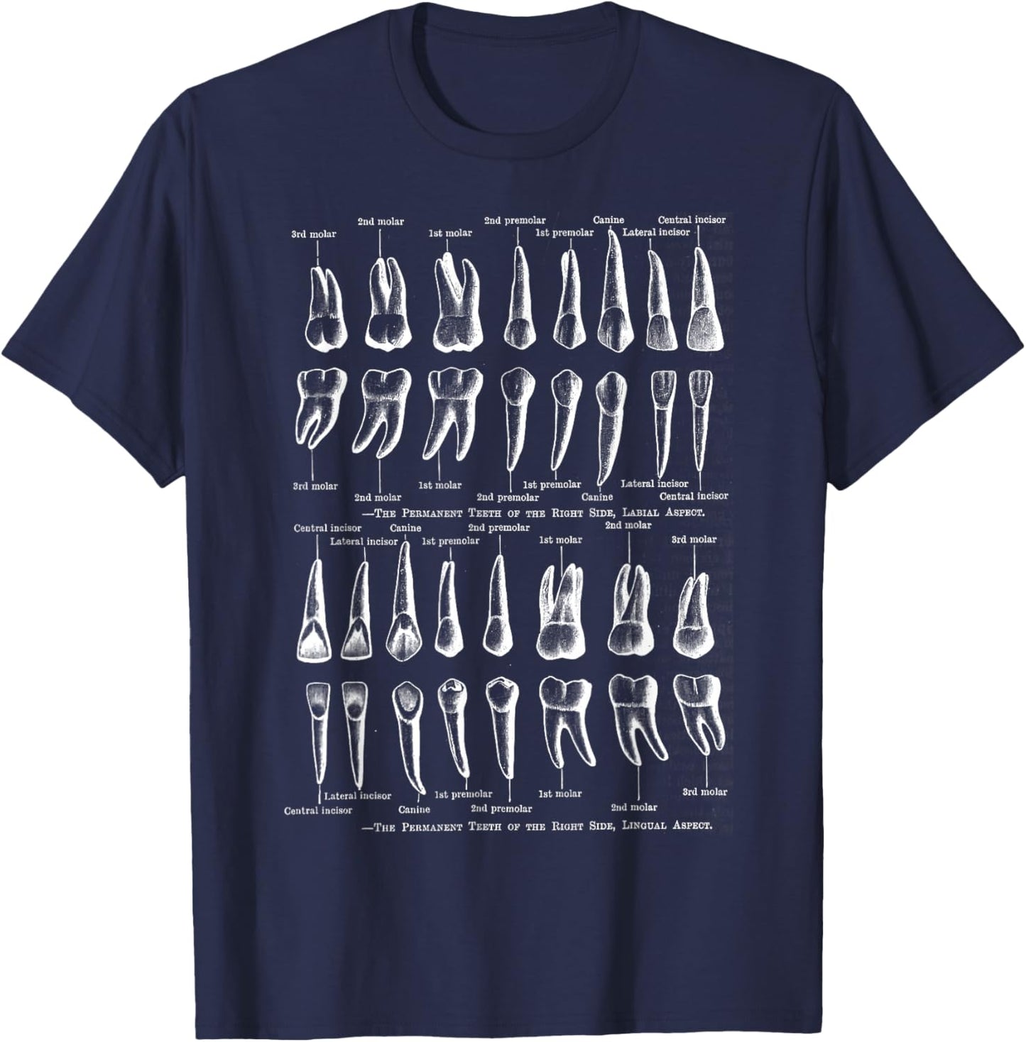 Human Teeth Dental Vintage Anatomy Retro Dentistry T-Shirt - T-Shirt | Navy
