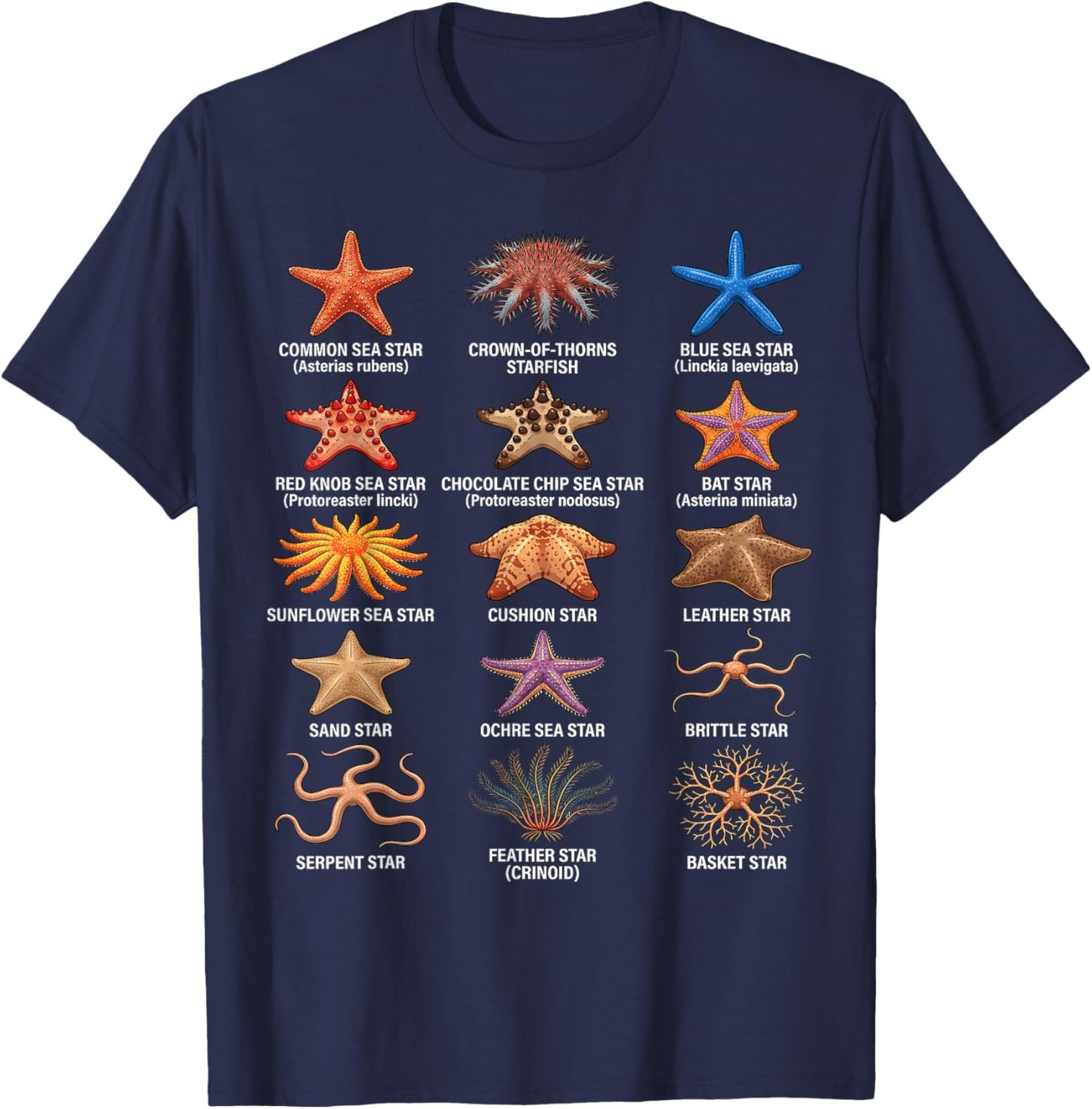 Types of Sea Stars, Sea Star Species Chart, Starfish Types T-Shirt - T-Shirt | Navy