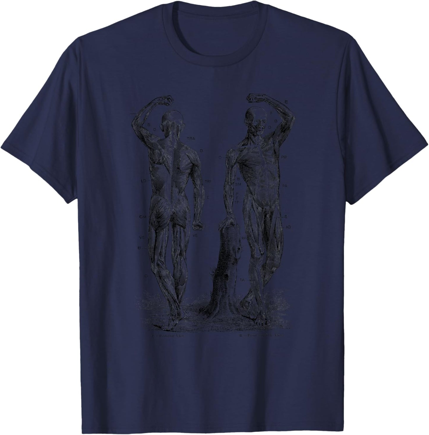 Human Muscle Anatomy Design Gift T-Shirt - T-Shirt | Navy