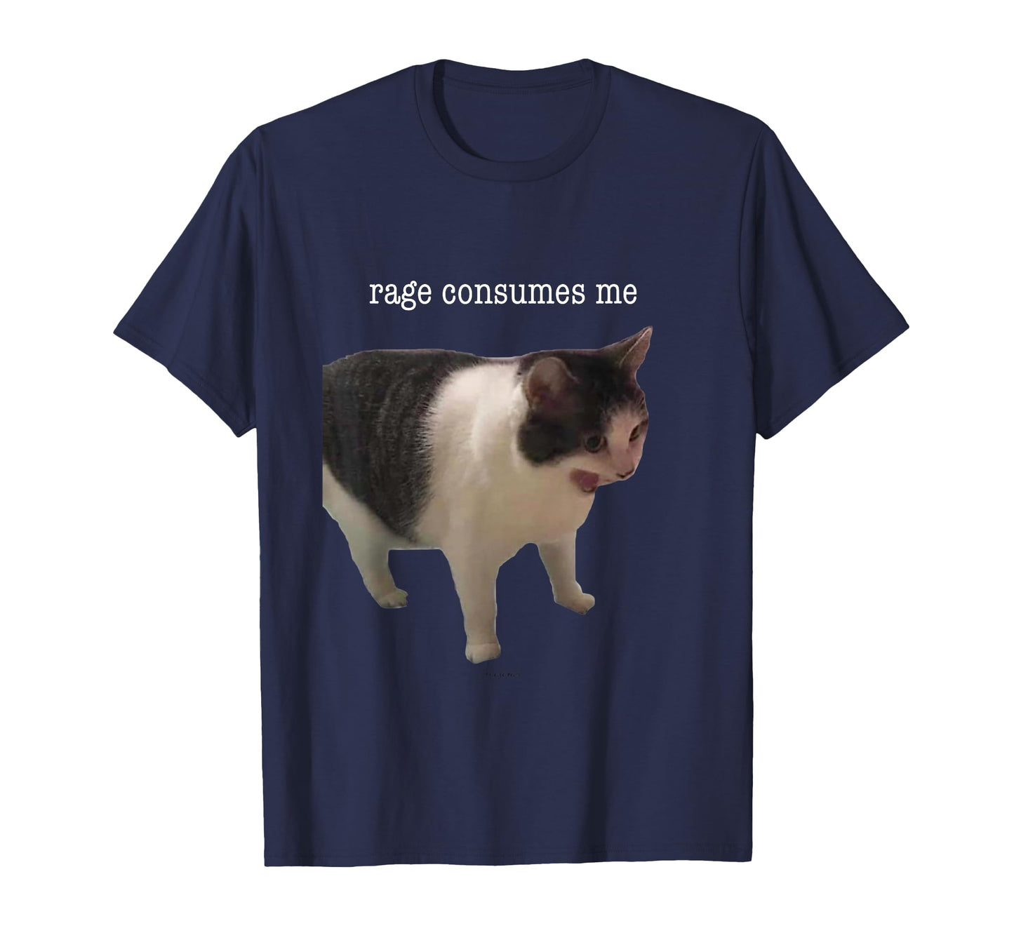 Rage Consumes Me Funny Cat Meme Men Women T-Shirt