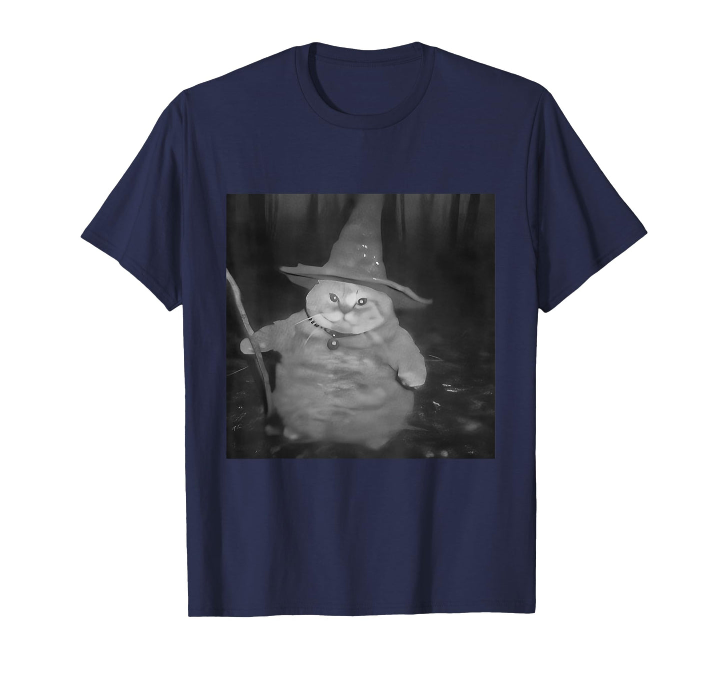 Fat Wizard Cat Fat Kitten Wizard Funny Cat Meme Brain Rot T-Shirt