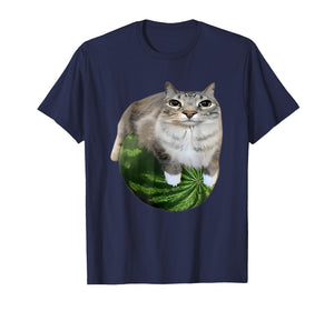 Funny Watermelon Cat Silly Meme T-Shirt