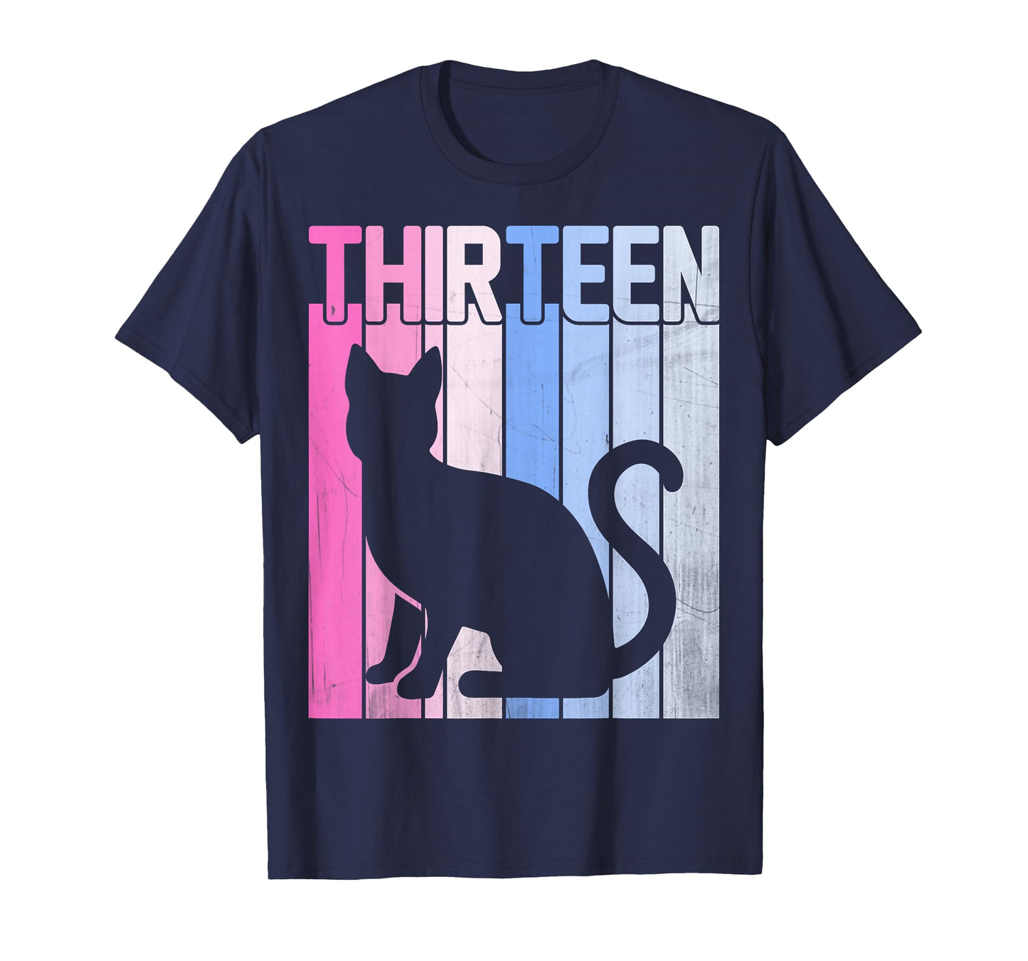 Cute Pet Cat Lover 13 Years Old Thirteen Birthday T-Shirt