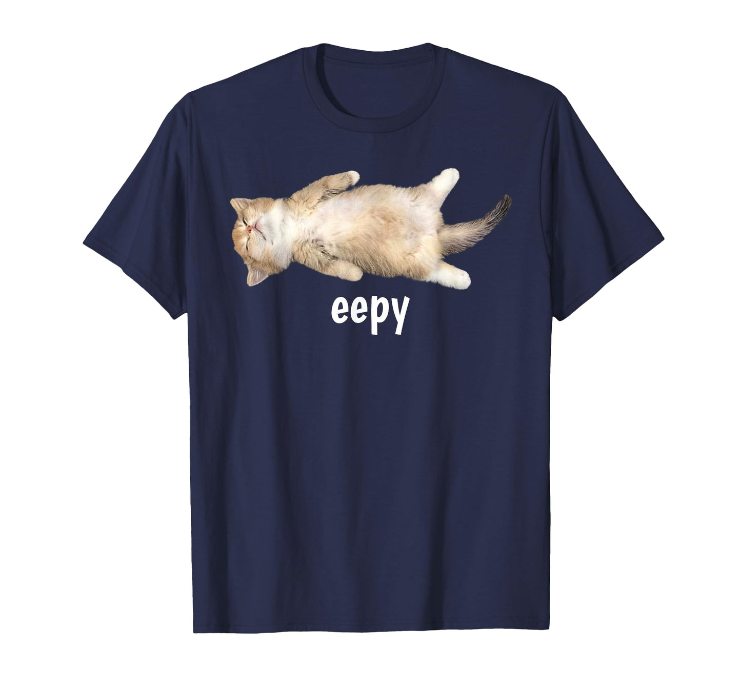 Eepy Cat Meme Funny Sleepy Cat Viral Gen Z Sarcastic Humor T-Shirt