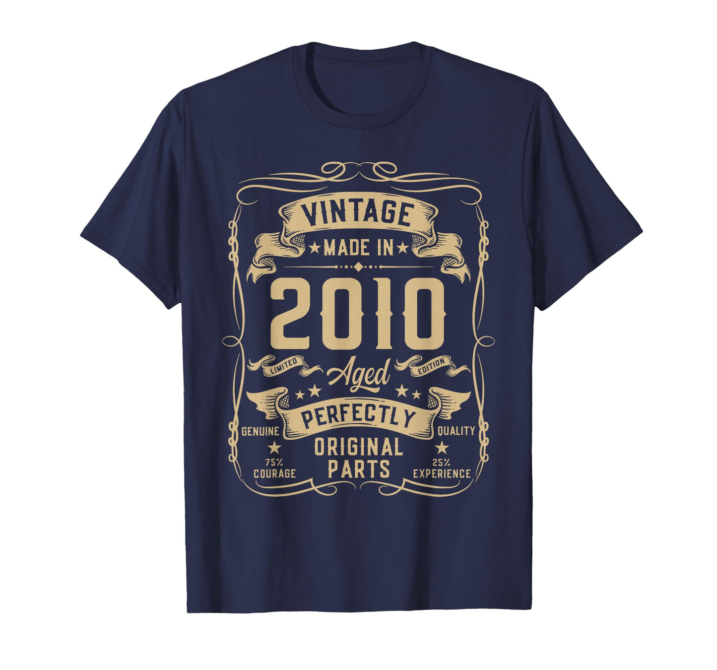 Vintage 2010 16yr 16th Birthday Gifts for Boys 16 Years Old T-Shirt
