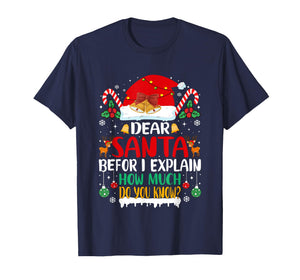 Funny Christmas Kids Adults Dear Santa I Can Explain T-Shirt