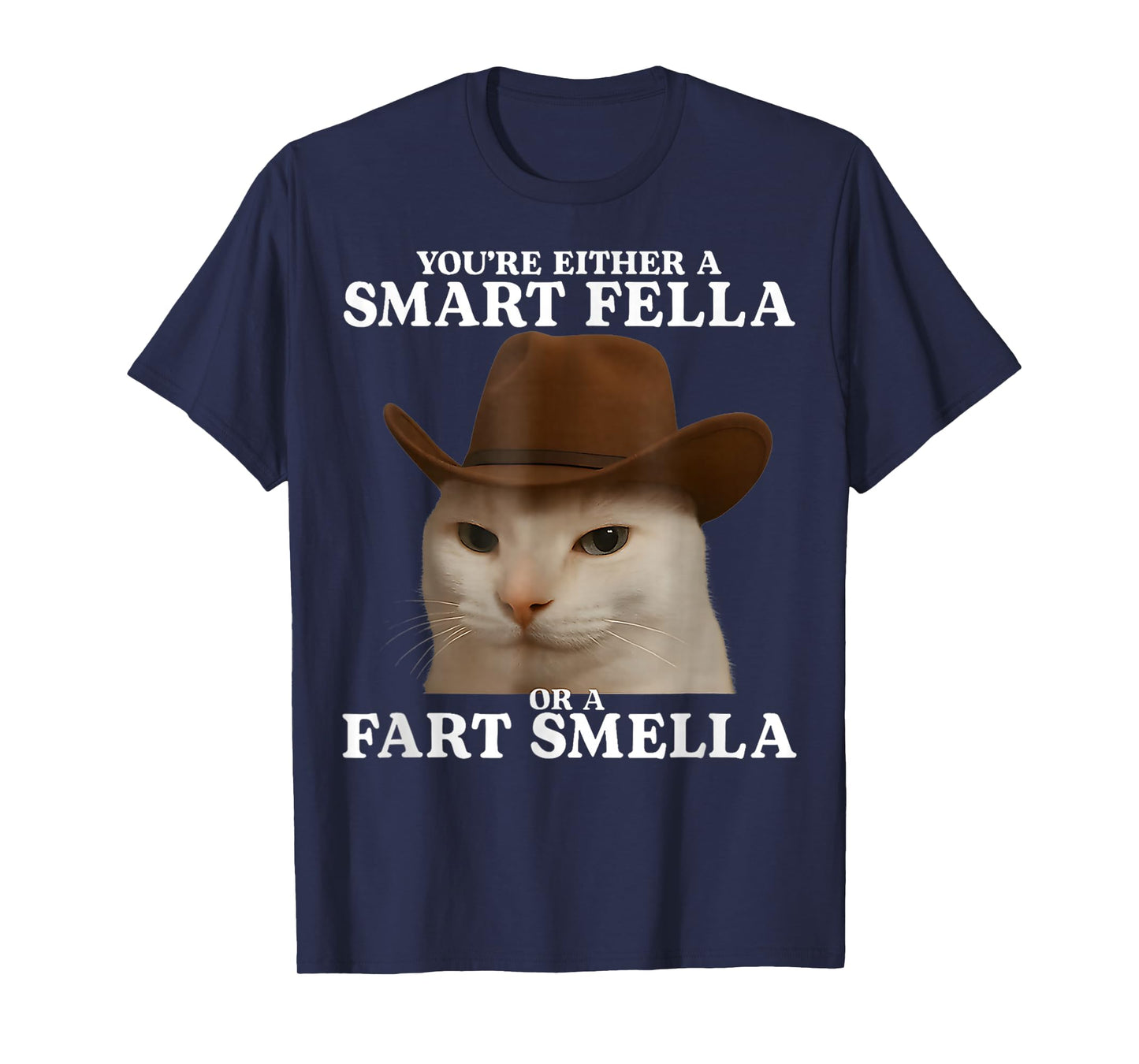 You're Either a Smart Fella or a Fart Smella Funny Cat Meme T-Shirt