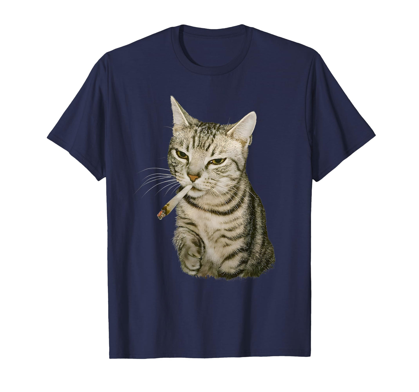 Funny Smoking Cat, Cigarette Kitty Gen Z Meme, Cat Lover T-Shirt