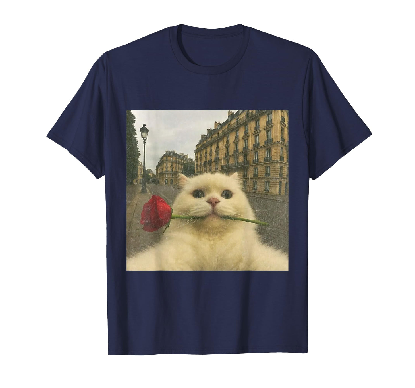 Funny Romantic Cat Selfie Paris Rose Cat Meme Valentine T-Shirt