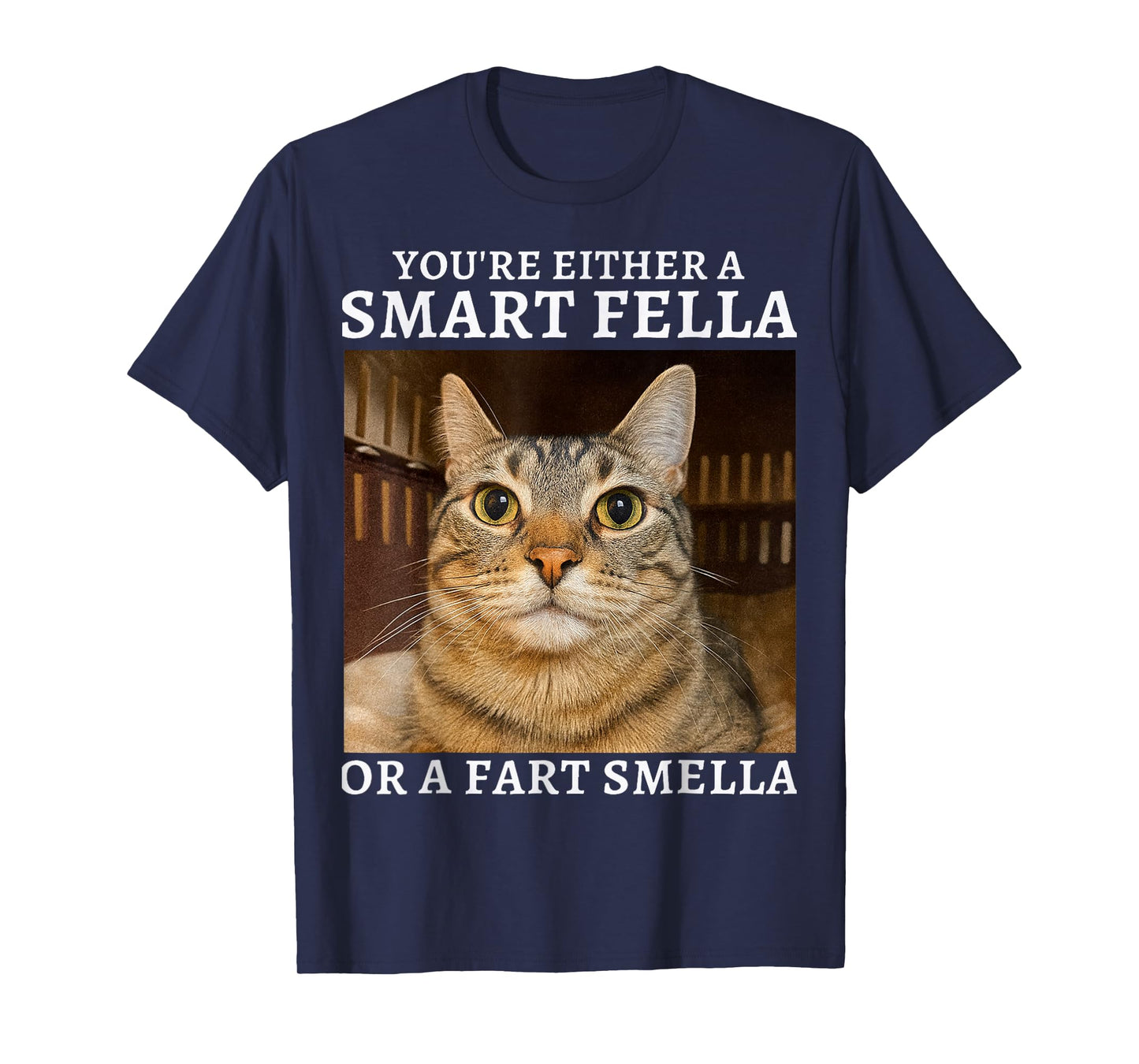 You're Either a Smart Fella or a Fart Smella Funny Cat Humor T-Shirt